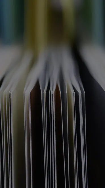 複数の仕切りが並んだ書類フォルダーの接写